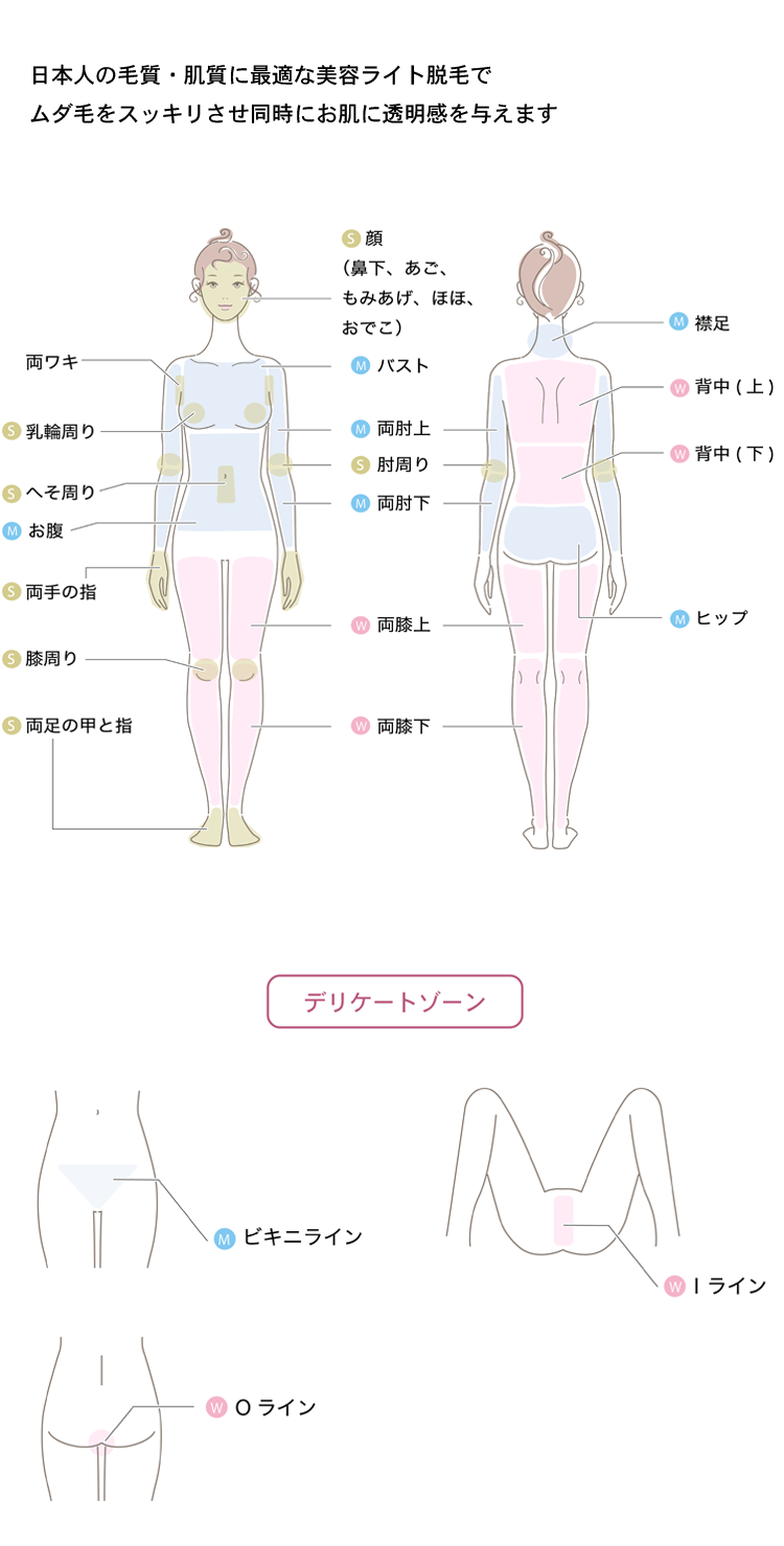 カラージェルの写真